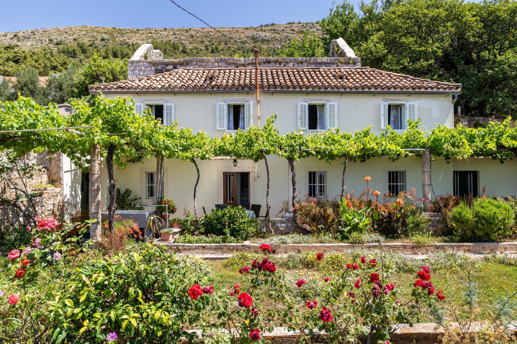 House Verde - Private House With Seaview Dubrovník Exteriér fotografie