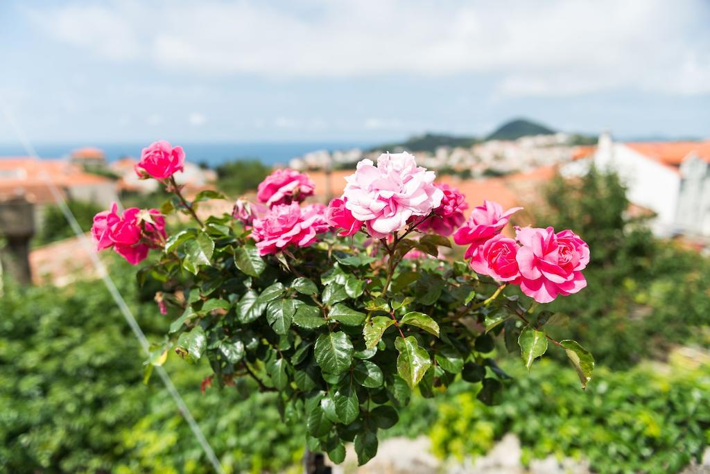 House Verde - Private House With Seaview Dubrovník Pokoj fotografie